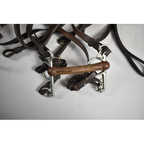 446 - A Collection of Various Leather Tack to include Harnesses, Brindle, Snaffle Bits, Reigns, Leather Sn... 