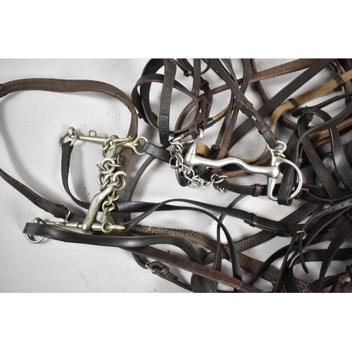 446 - A Collection of Various Leather Tack to include Harnesses, Brindle, Snaffle Bits, Reigns, Leather Sn... 