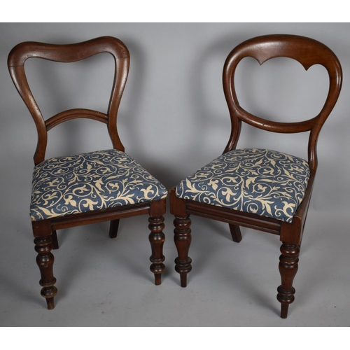 463 - Two Victorian Mahogany Framed Chairs to Include Balloon Backed Example with Turned Bulbous Tapering ... 