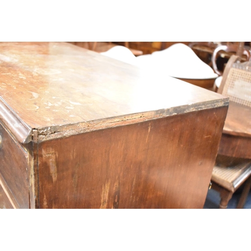 479 - A 19th Century Chest of Two Short and Three Long Drawers on Bracket Feet, the Chest with Drop Brass ... 