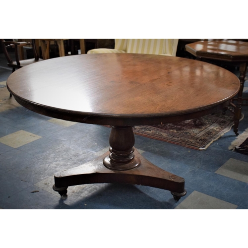 503 - A Large William IV Mahogany Tilt Top Dining/Centre Table on Bulbous Turned Support, 135cm Wide