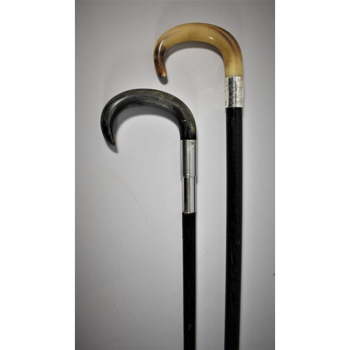 126 - Two Horn Handled and Ebonised Walking Canes, One with Silver Mount