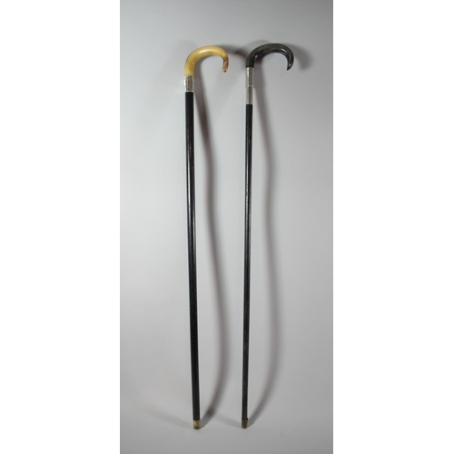 126 - Two Horn Handled and Ebonised Walking Canes, One with Silver Mount