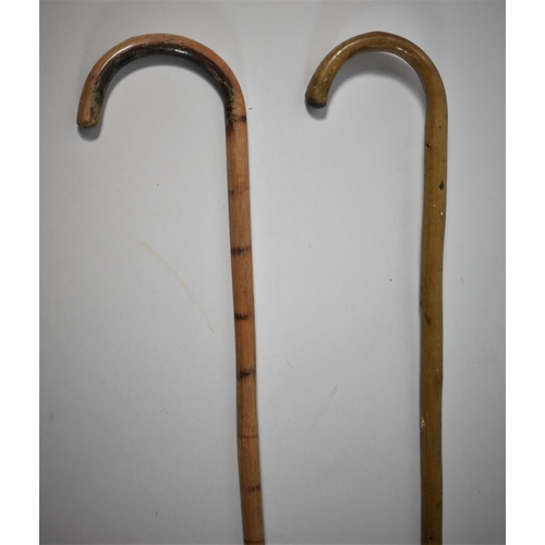 132 - Two Small Canes