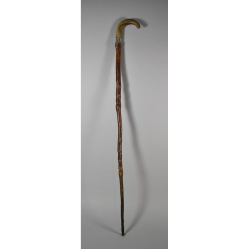 135 - A Horn Handled Silver Mounted Walking Stick, London 1900, 98cm Long