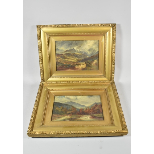 154 - A Pair of Gilt Framed Oils on Card Depicting 19th Century Scottish Mountain Scenes, Each 24x17cm