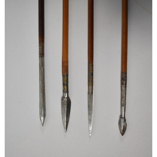 68 - A Collection of Four Late 19th Century Arrows with Feathered Flights, 72cm Long