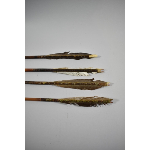 68 - A Collection of Four Late 19th Century Arrows with Feathered Flights, 72cm Long