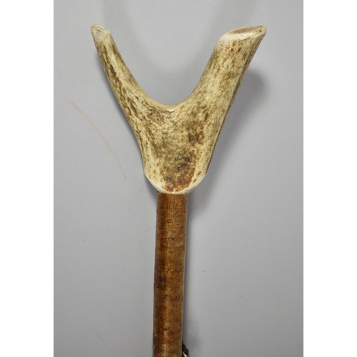 89 - A Bone Handled Thumb Stick, 117cm Long