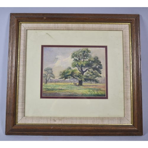 123 - A Framed Watercolour Depicting Stag Under Tree, 18x14cm