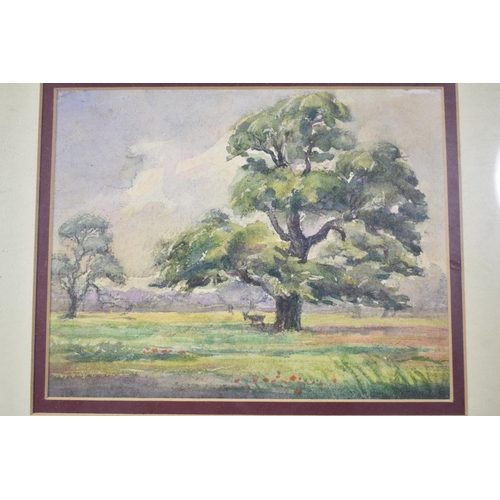 123 - A Framed Watercolour Depicting Stag Under Tree, 18x14cm