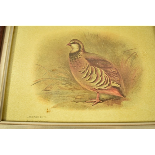 149 - A Collection of Four Framed Bird Prints, Each 22x16cm