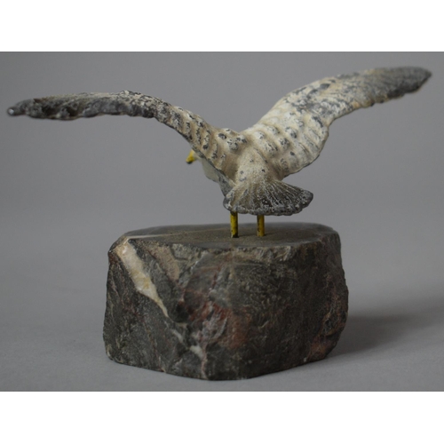 240 - A Mid 20th Century Welsh Souvenir Cold Painted Metal Study of Seagull with Wings Outstretched on Roc... 