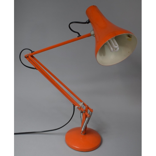 117 - A Vintage Anglepoise Table Lamp by Herbert Terry & Sons Ltd, Working Order