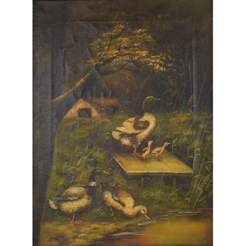 119 - A Mounted But Unframed 19th Century Oil on Canvas Depicting Ducks and Ducklings, 40.5 x 30cm