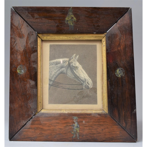 131 - A 19th Century Rosewood Print of a Grey Horses Head, 9.5cm x 12cm