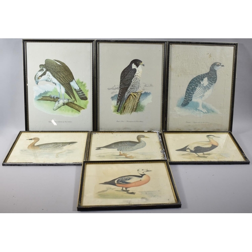 154 - A Set of Three and Set of Four Waterfowl Prints, 39x29cm and 30x23cm Frames in Need of Attention