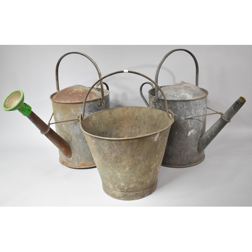 402 - Two Galvanised Watering Cans and a Bucket