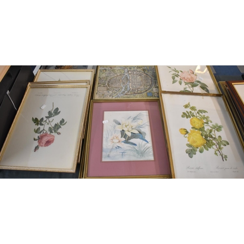 416 - A Collection of Nine Framed Botanic Prints