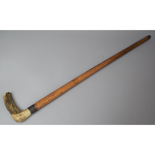 69 - A Bone Handled Walking Cane with Silver Plate Mount Inscribed Rev W Drawbrood, 82cm long