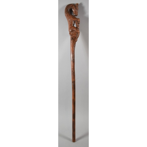 70 - A Novelty Walking Stick with Carved Wooden Handle in the Form of a Horse, Has Been Shortened, 86cm L... 