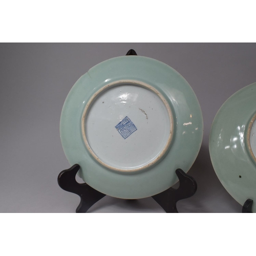 230 - Two Late 19th/Early 20th Century Celadon Glazed Famille Rose Plates, with Applied Enamel Decoration ... 