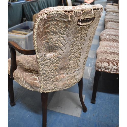 540 - A Set of Ten Mid/Late 20th Century Upholstered Chairs, to Include Two Carvers, Most in Need of Reuph... 