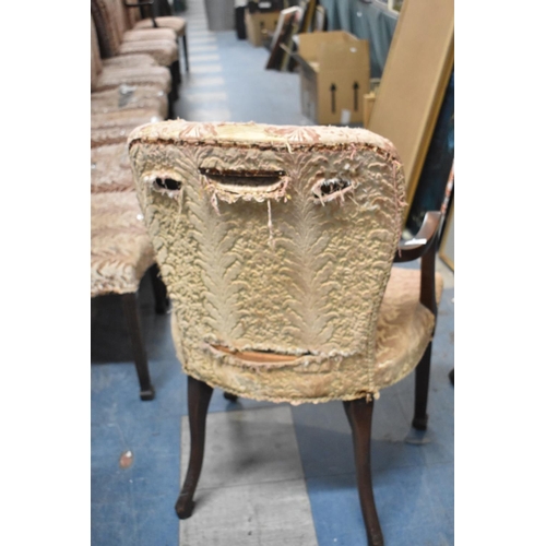 540 - A Set of Ten Mid/Late 20th Century Upholstered Chairs, to Include Two Carvers, Most in Need of Reuph... 