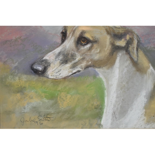 179 - A Framed Painting of a Greyhound Signed Julie Stott, 35x28cm