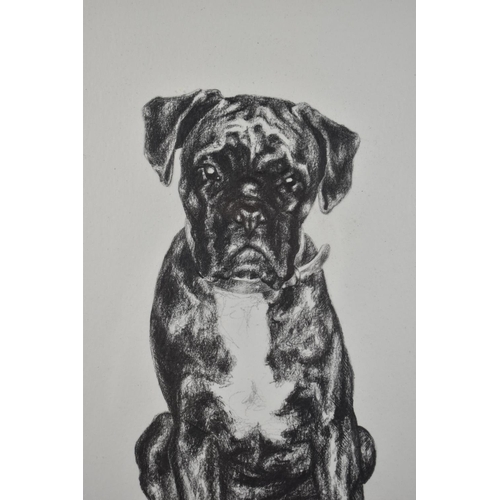 349 - A Framed Chisnall Print of a Seated Dog, 36x28cm