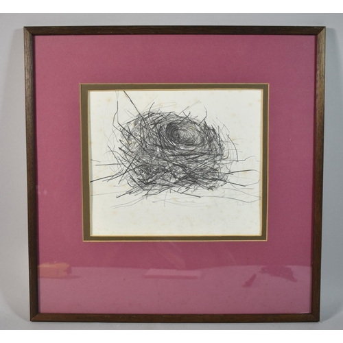 362 - A Framed Pencil Sketch of a Birds Nest by Elisabeth Bricknell, 24x20cm