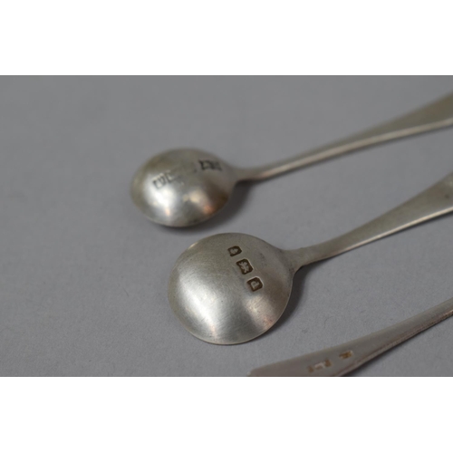 473 - A Collection of Six Hallmarked Silver Condiment Spoons