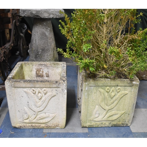 577 - A Pair of Moulded Reconstituted Stone Square Garden Planters, One with Plant, 36cm high