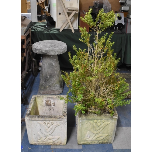 577 - A Pair of Moulded Reconstituted Stone Square Garden Planters, One with Plant, 36cm high