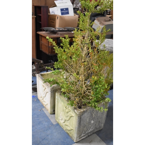 577 - A Pair of Moulded Reconstituted Stone Square Garden Planters, One with Plant, 36cm high