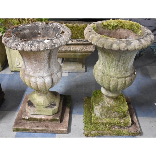 578 - A Pair of Reconstituted Stone Campana Garden Urns on Stepped Plinths, 75cm high