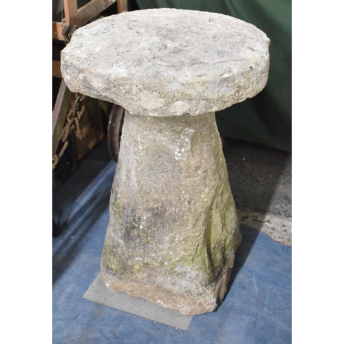 601 - A Sandstone Staddle Stone, 47cm Diameter