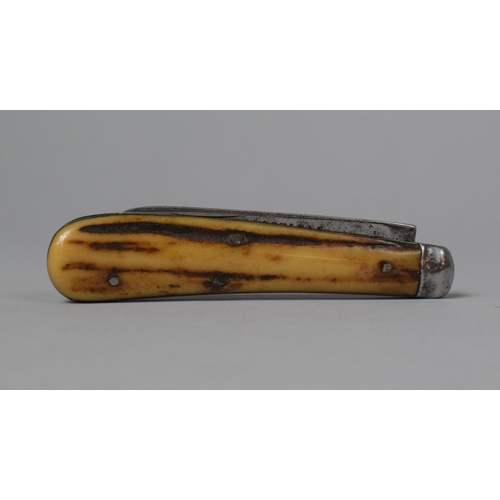 86 - A Bone Handled John Petty Folding Penknife, 15cm Long (Blade AF) Together with a Smaller Bone Handle... 