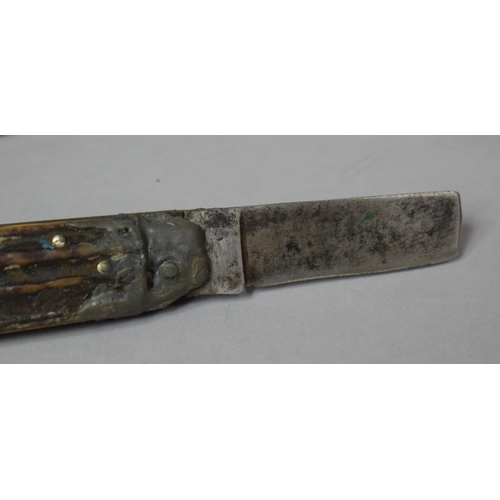 86 - A Bone Handled John Petty Folding Penknife, 15cm Long (Blade AF) Together with a Smaller Bone Handle... 