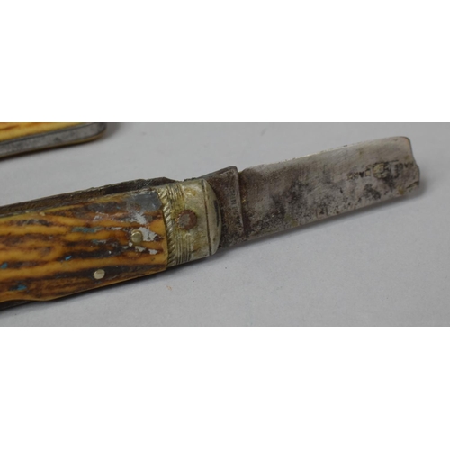 86 - A Bone Handled John Petty Folding Penknife, 15cm Long (Blade AF) Together with a Smaller Bone Handle... 