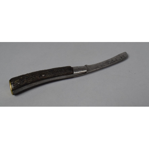 87 - A Taylor Eye Witness of Sheffield Pocket Knife with Bone Handle