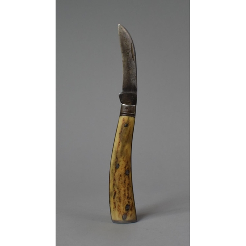 89 - A Bone Handled Folding Pruning Knife by Sutton & Sons