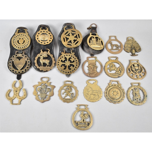 147 - A Collection of Various Horse Brasses