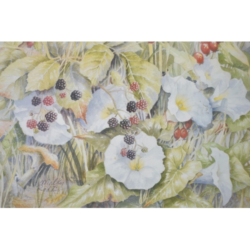 162 - A Framed Print Depicting Blackberries and Flowers, Signed In Pencil by the Artist Molly Roddis, 27x1... 