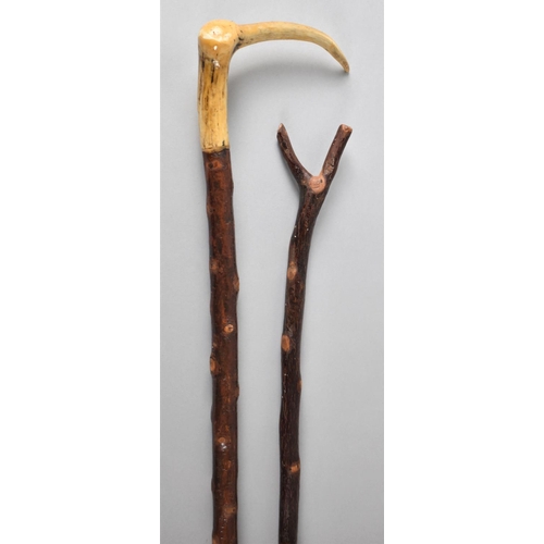 192 - A Vintage Shepherd's Crook and Thumb Stick