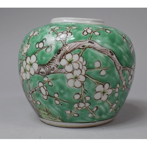 266 - A Chinese Prunus Pattern Ginger Jar on Mottled Green Ground, Chinese Republic, 11cm high (No Lid)