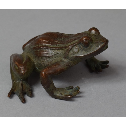 273 - A Bronze Study of a Frog, 6cm Long and  3cm high