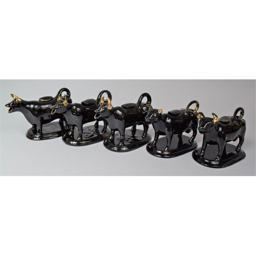 311 - A Collection of Five Jackfield Black Glazed Cow Creamers (All with Condition Issues)