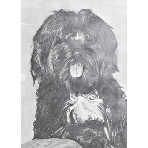 316 - A Mounted Pencil Sketch of a Dog Signed Steve '97, 60x42cm