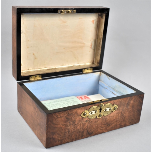 1 - A Late 19th Century Burr Walnut Work Box, the Hinged Lid with Five Pale Blue Cabouchons, Missing Inn... 